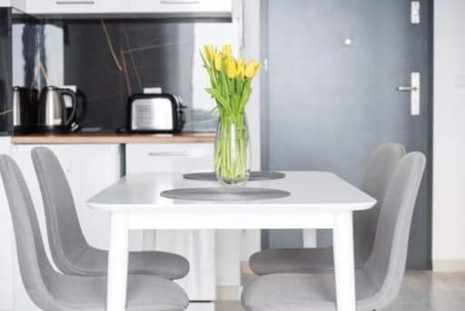 Hania Apartment Gdansk